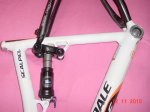 DSC00981.jpg