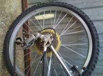 DSC00124.jpg