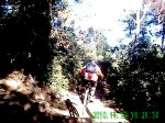 PICT0002 029_0001.jpg