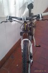 IMAG0057.jpg
