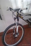 IMAG0056.jpg