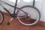 IMAG0055.jpg