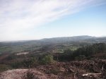 PICT5235.jpg