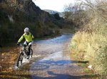 2010-11-13 11.07.29.jpg