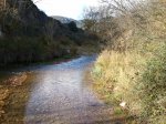 2010-11-13 11.07.07.jpg