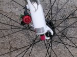 DSCN3595.JPG