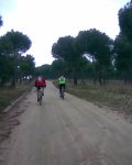 01-Navalcarnero.jpg