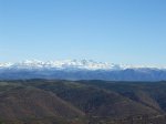 DSCF7390.jpg