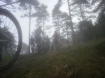 PB130826.jpg