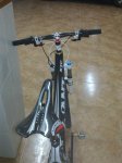 13112010010.jpg