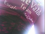DSC00559.jpg