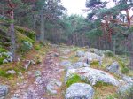 Foto13.JPG