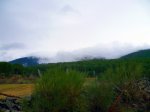 Foto19.JPG
