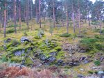 Foto38.JPG
