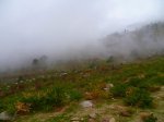 Foto7.JPG