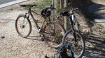 DSC01072.JPG