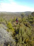 Imagen0404.jpg