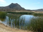 DIA EN LASBARDENAS 2010 018.jpg