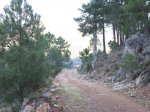 IMG_4003.jpg