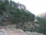 IMG_4005.jpg