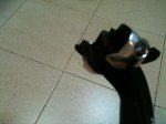 IMG_0610.jpg