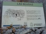 DSC03220.jpg