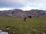 DSC03219.jpg