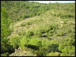 PICT0060.jpg