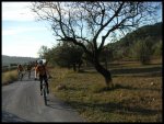 PICT0030.jpg