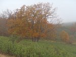 PB140498.JPG