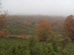 PB140499.JPG