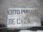 COTOS 001.jpg