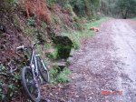 DSC00399.jpg