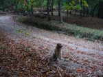 DSC00372.jpg