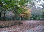 DSC00373.jpg
