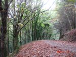 DSC00398.jpg