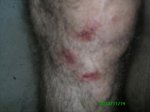 PICT0080.jpg