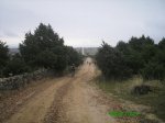 PICT0076.jpg