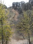 IMG_6017.jpg