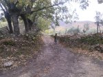 HERVAS 03-10.jpg