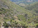 IMG_0038.JPG