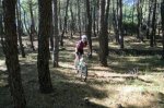 CIMG0989.jpg
