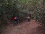 falso llano 010.jpg