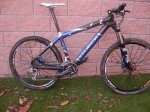 storck 002.jpg