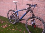 storck 004.jpg