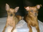 18062010058.jpg