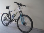 bh expert 002.jpg