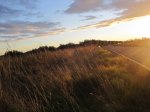 IMG_0067.JPG