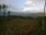 17112010_004.jpg