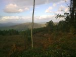17112010_005.jpg